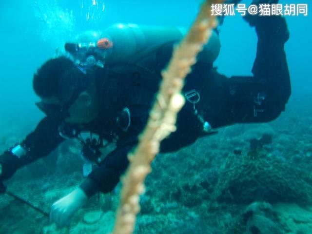 《古董局中局3》即将来袭,男女主角是谁?你期待吗?- 专业有问必答平台